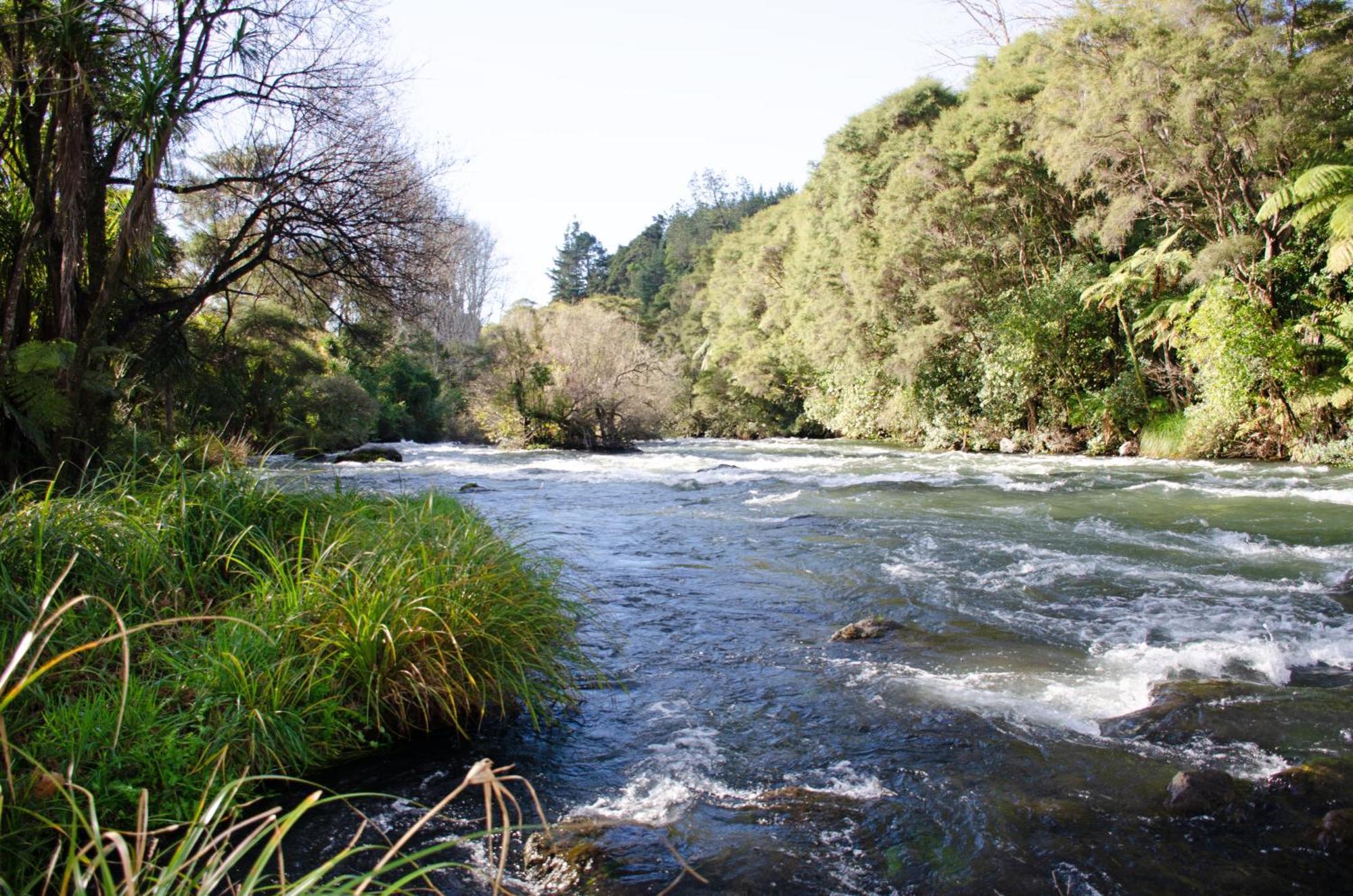 Tarawera River Lodge Motel Kawerau Экстерьер фото