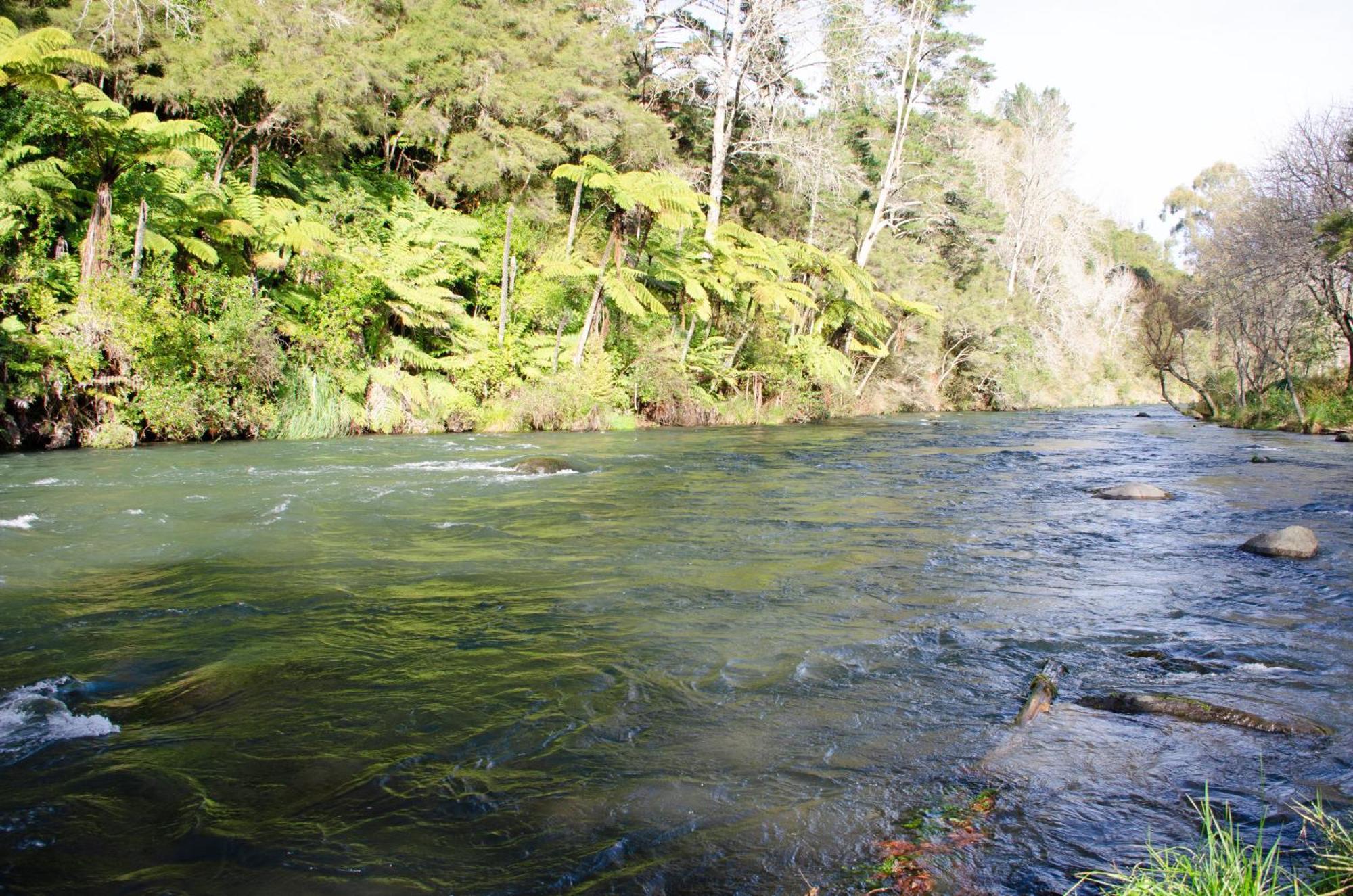 Tarawera River Lodge Motel Kawerau Экстерьер фото